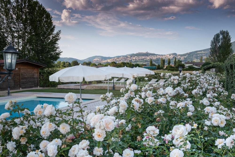 Il Fienile Di Assisi Villa Exterior foto