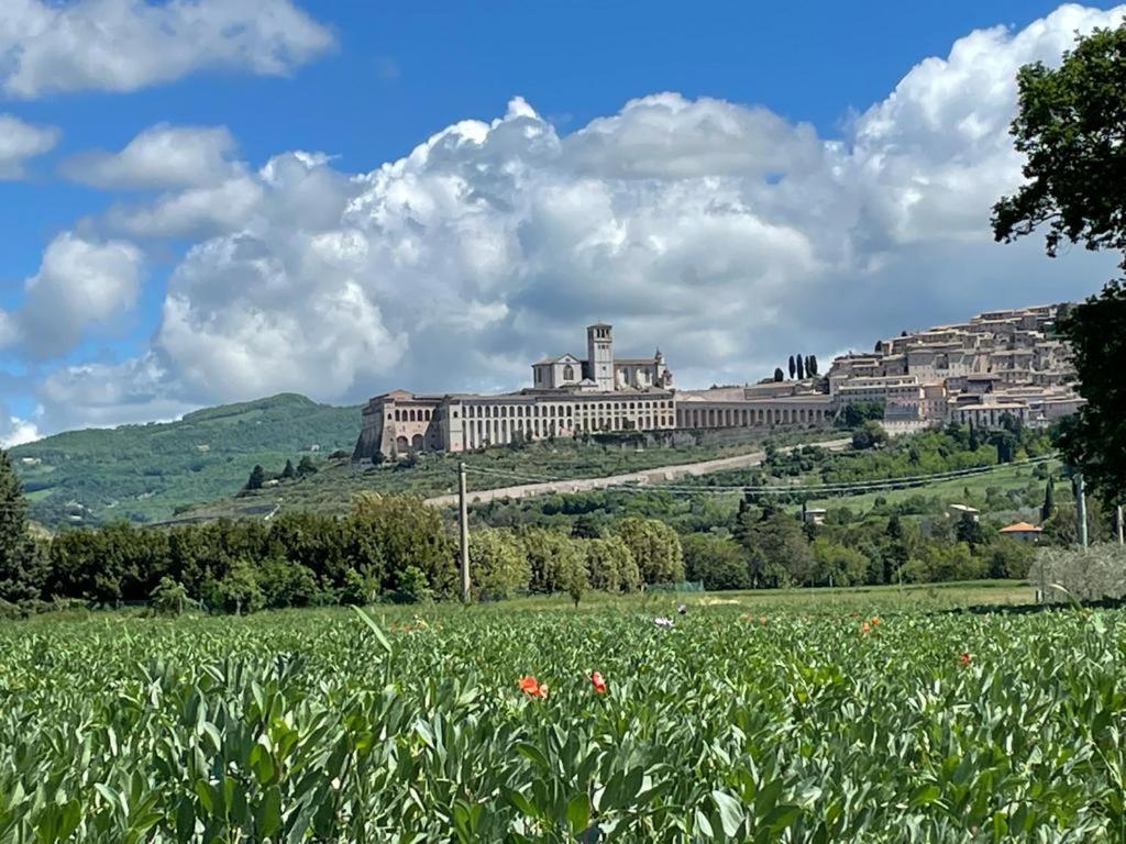 Il Fienile Di Assisi Villa Exterior foto