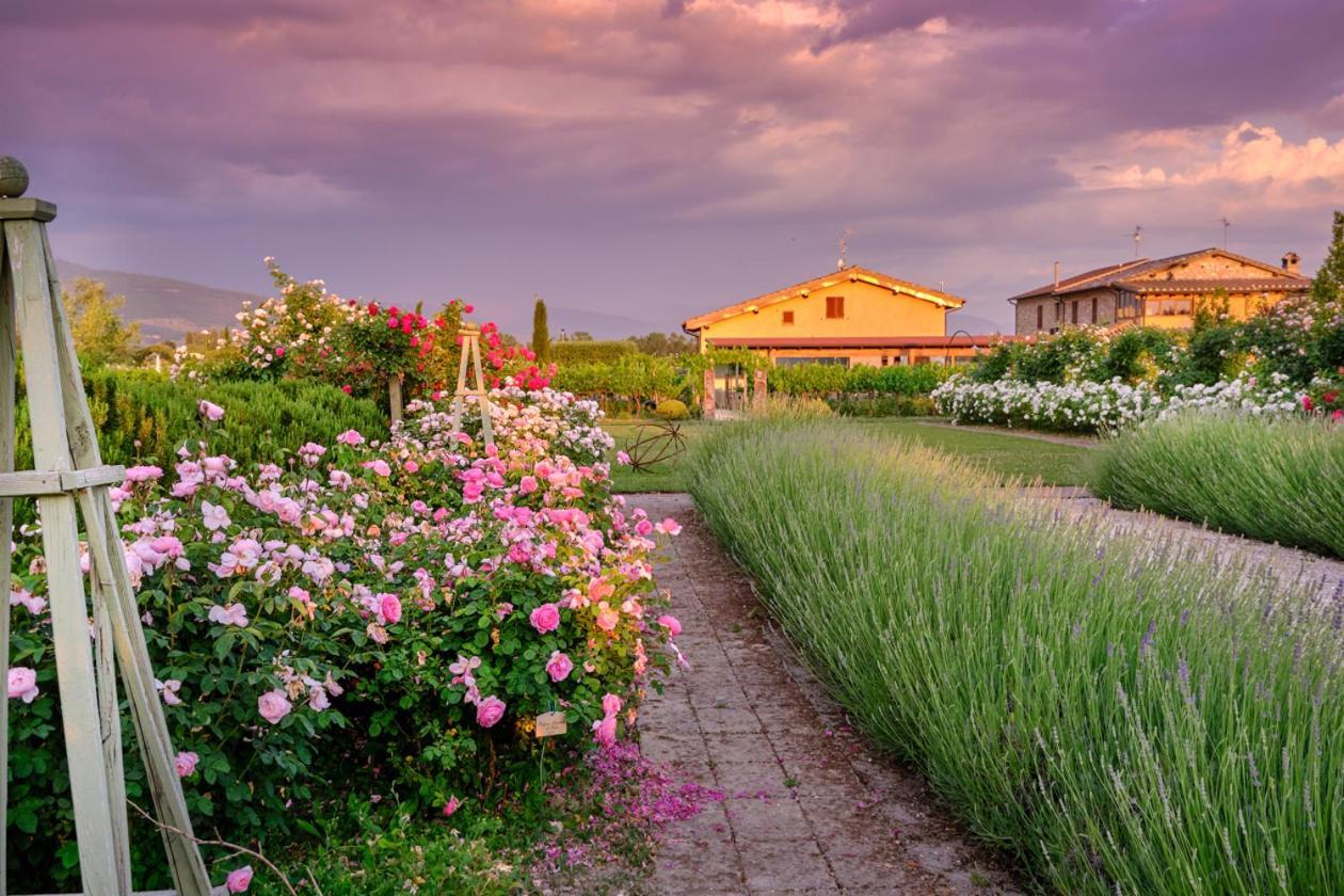 Il Fienile Di Assisi Villa Exterior foto
