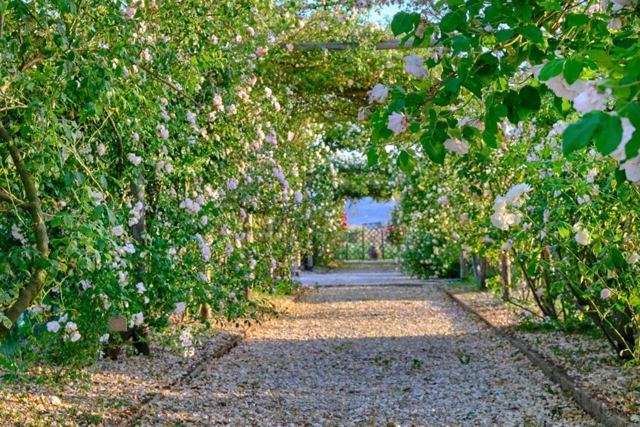 Il Fienile Di Assisi Villa Exterior foto