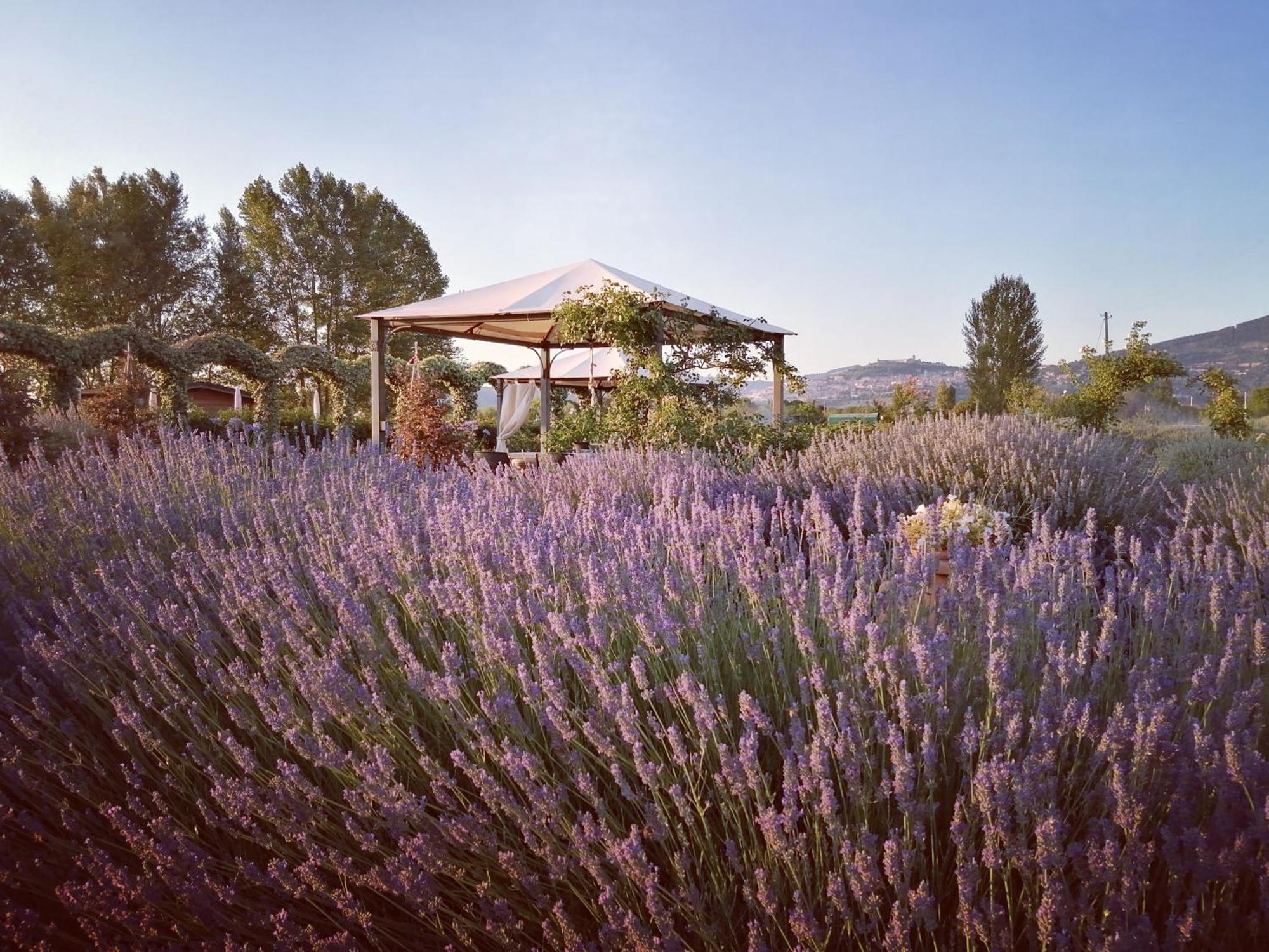 Il Fienile Di Assisi Villa Exterior foto