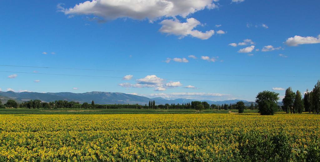 Il Fienile Di Assisi Villa Exterior foto