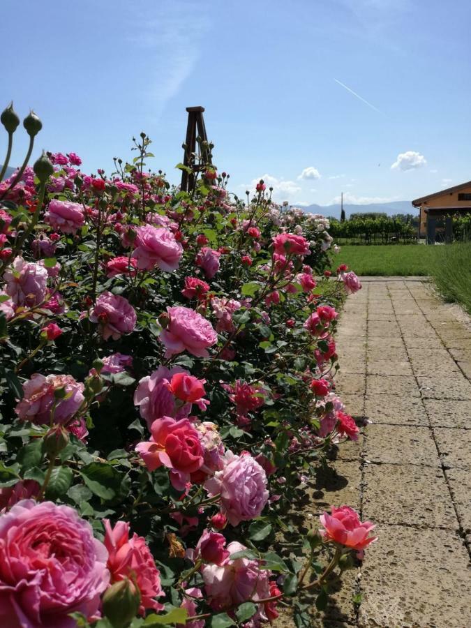 Il Fienile Di Assisi Villa Exterior foto